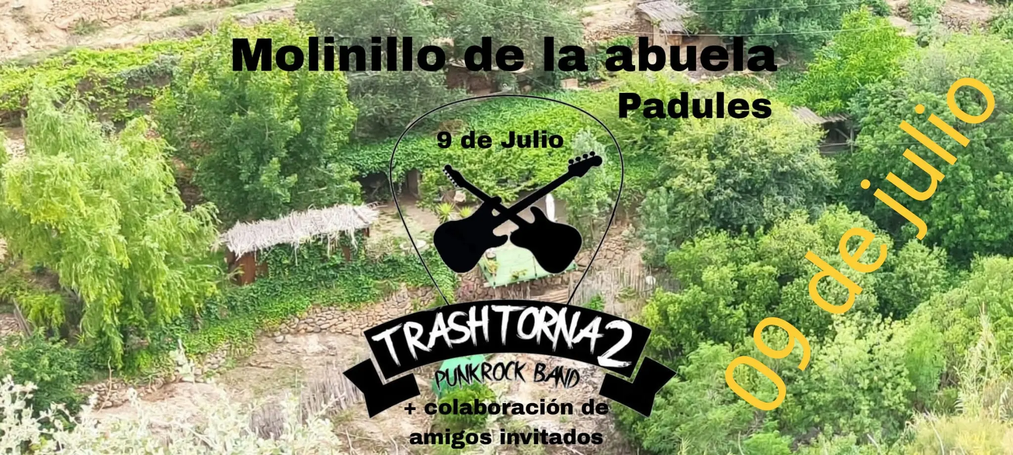 Cartel del concierto
