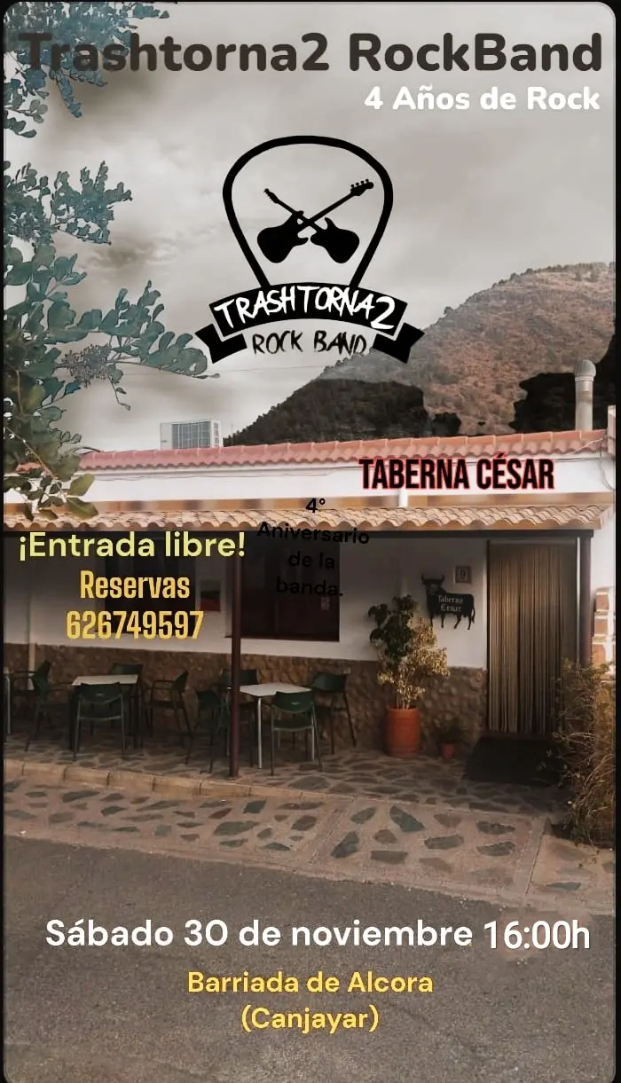 Cartel del concierto